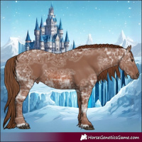 Horse Color:Chestnut Ice 