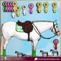 Horse Color:Red Dun Roan Near Fewspot 