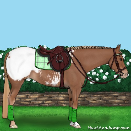 Horse Color:Red Roan Snowcap 