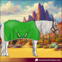 Horse Color:Silver Bay Roan Tobiano Appaloosa