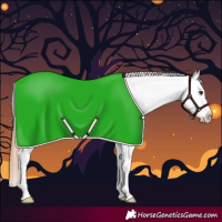 Horse Color:Red Roan Appaloosa 