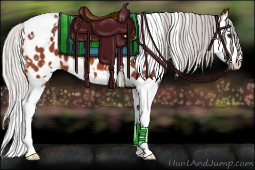 Horse Color:White Spotted Silver Bay Splash Appaloosa 