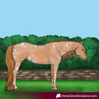 Horse Color:Chestnut Ice 