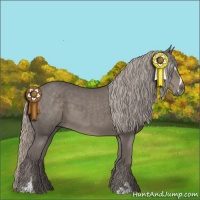 Horse Color:Silver Black Sabino 