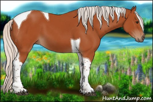 Horse Color:Silver Brown Tobiano 