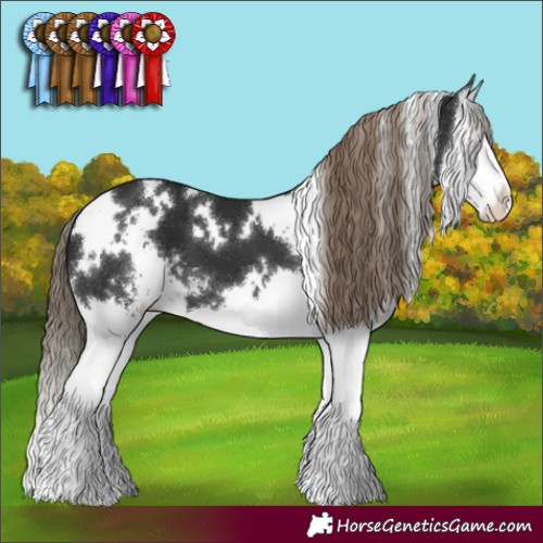 Horse Color:White Spotted Liver Chestnut Sabino Splash 