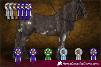 Horse Color:White Spotted Liver Chestnut Sabino 