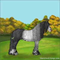 Horse Color:Black Mushroom Sabino 