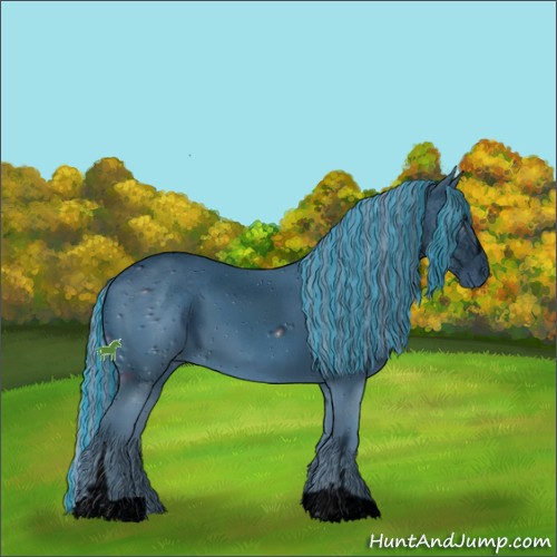 Horse Color:ERROR: UNKNOWN ANOMALY