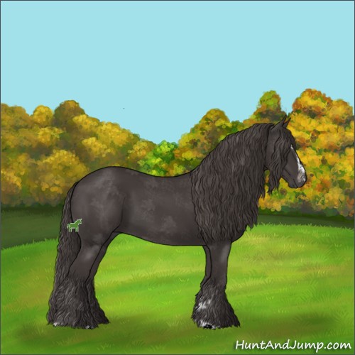 Horse Color:Smoky Black Sabino
