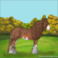 Horse Color:Chestnut Sabino