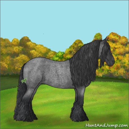 Horse Color:Blue Roan Sabino 
