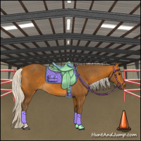 Horse Color:Silver Buckskin Tobiano 