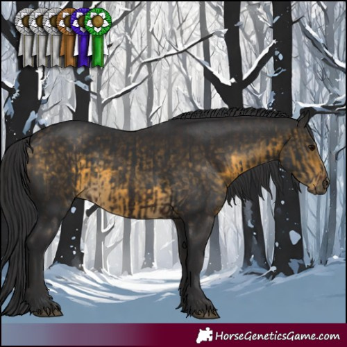 Horse Color:Brown Rabicano  and Buckskin 