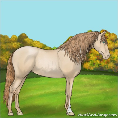 Horse Color:Smoky Black Pearl Rabicano 