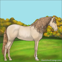 Horse Color:Smoky Black Pearl Rabicano 