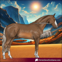 Horse Color:Chocolate Palomino 
