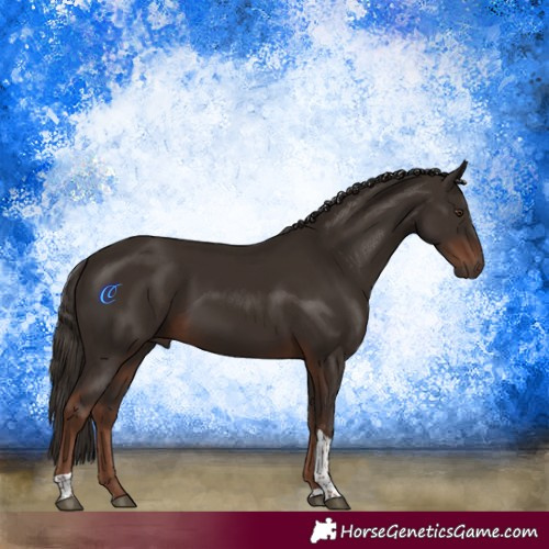 Horse Color:Liver Chestnut Tobiano Rabicano 
