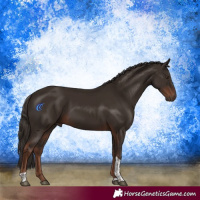Horse Color:Liver Chestnut Tobiano Rabicano