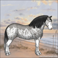 Horse Color:Grullo Roan Sabino Splash  and Grullo Roan Sabino Splash 