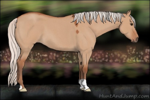 Horse Color:Silver Bay Roan Dun 