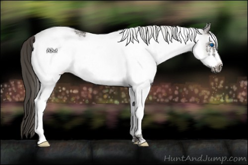 Horse Color:White Spotted Smoky Black Frame 