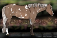 Horse Color:White Spotted Silver Brown Dun Sabino