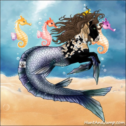 Horse Color:Amber Cream Champagne Splash Appaloosa 