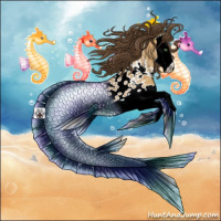 Horse Color:Amber Cream Champagne Splash Appaloosa 