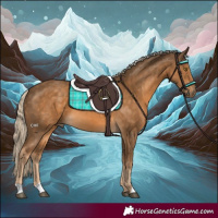 Horse Color:Chocolate Palomino 