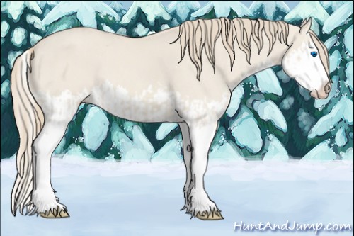 Horse Color:Smoky Creme Dun Sabino Splash  and Smoky Creme Dun Sabino Splash 