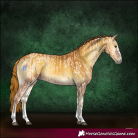 Horse Color:Red Dun Ice and Red Onyx