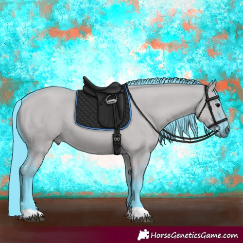 Horse Color:Watercolor Grullo 