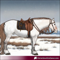 Horse Color:Bay Roan Onyx Appaloosa