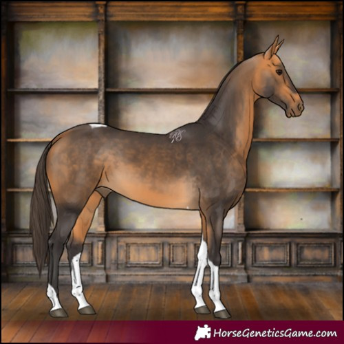 Horse Color:Buckskin Tobiano