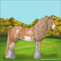 Horse Color:White Spotted Chestnut Sabino Frame