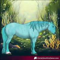Horse Color:Watercolor Blue Roan 
