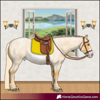 Horse Color:Palomino Roan Frame Rabicano