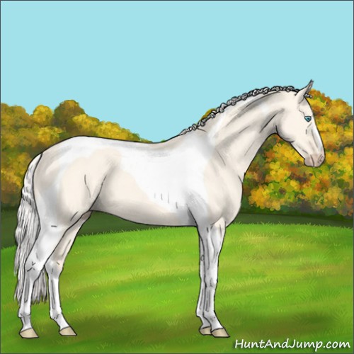Horse Color:Silver Perlino Dun Tobiano