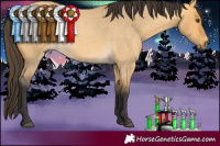 Horse Color:Buckskin Roan Dun Rabicano 