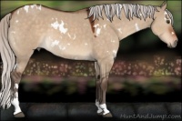 Horse Color:White Spotted Silver Brown Dun Sabino