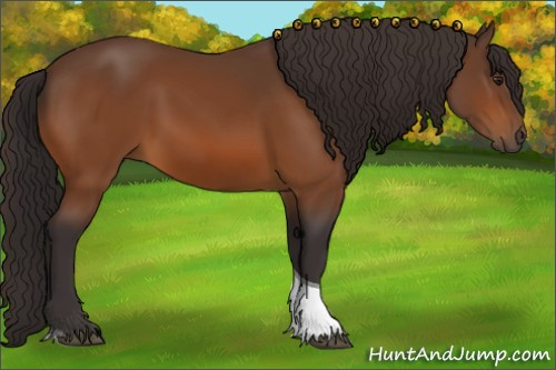 Horse Color:Buckskin Tobiano 