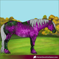 Horse Color:ERROR: UNKNOWN ANOMALY