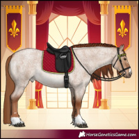 Horse Color:Red Dun Roan 
