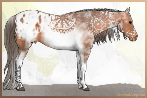 Horse Color:White Spotted Bay Sabino Frame Appaloosa Rabicano 