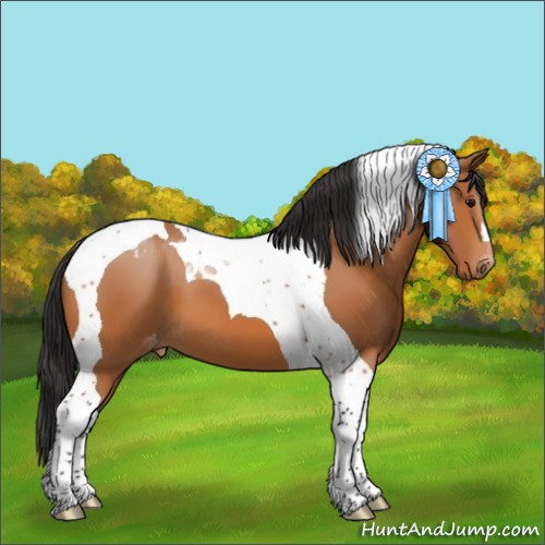 Horse Color:Bay Tobiano Varnish 