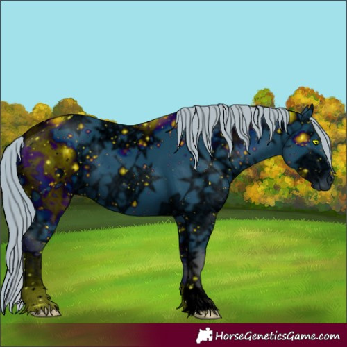 Horse Color:ERROR: UNKNOWN ANOMALY