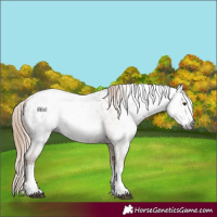 Horse Color:Gray Red Roan Splash Frame Blanket