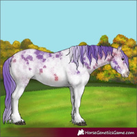 Horse Color:Watercolor White Spotted Bay Ice 
