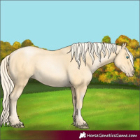 Horse Color:Palomino Pearl